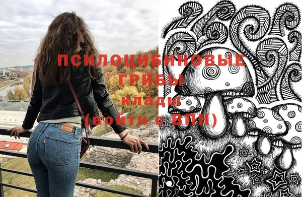 трава Богородицк