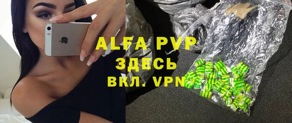 гидра Белокуриха