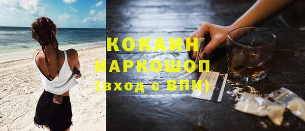 гидра Белокуриха